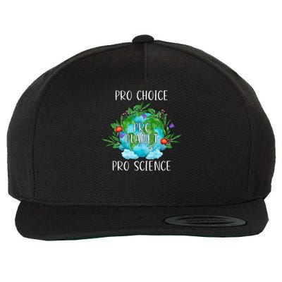 Pro Planet Global Warming Environmentalist Earth Advocate Wool Snapback Cap