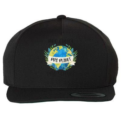 Pro Planet Global Warming Environmentalist Earth Advocate Wool Snapback Cap