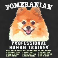Pomeranian Professional Human Trainer 11oz C Handle Ceramic Mug