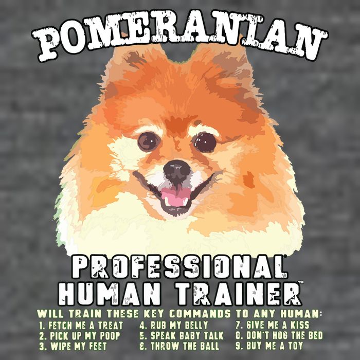 Pomeranian Professional Human Trainer 7 Panel Mesh Trucker Snapback Hat