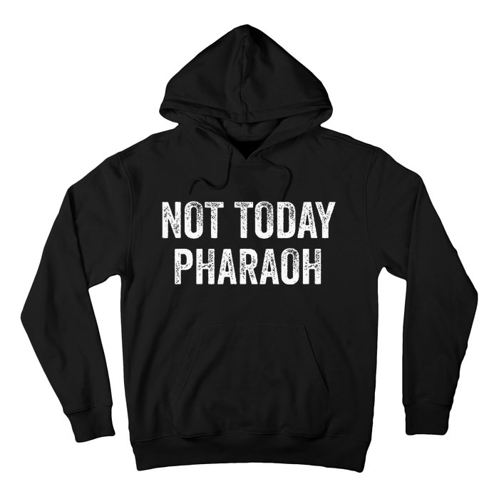 Passover Pesach Jewish Egypt Exodus Hoodie