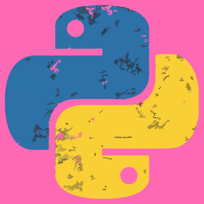 Python Programming Logo For ProgrammersPython Programming Logo For Programmers Stripe Pom Pom Beanie