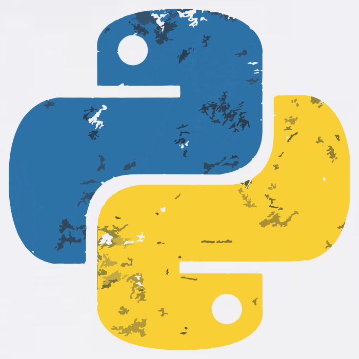 Python Programming Logo For ProgrammersPython Programming Logo For Programmers Beanie