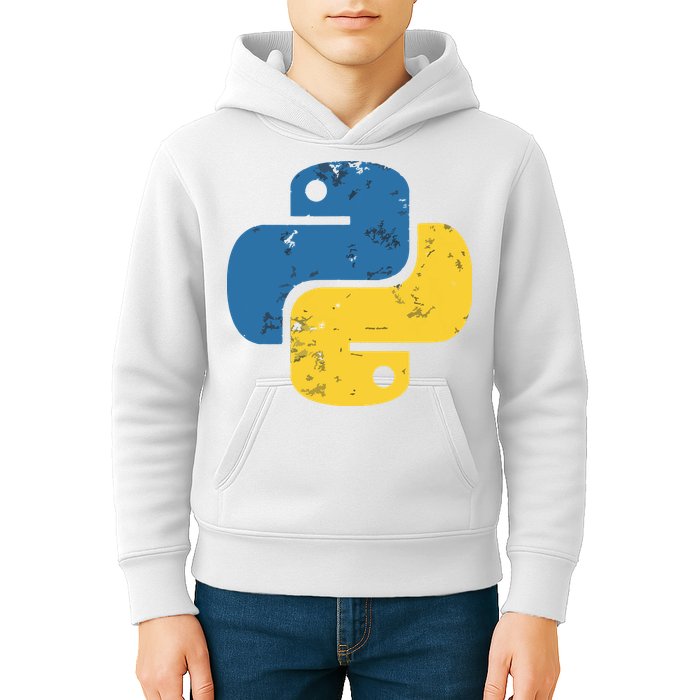 Python Programming Logo For ProgrammersPython Programming Logo For Programmers Kids Hoodie