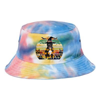 Pitbull Pumpkin Light Vintage Halloween Witch Dog Lover Funny Gift Tie Dye Newport Bucket Hat