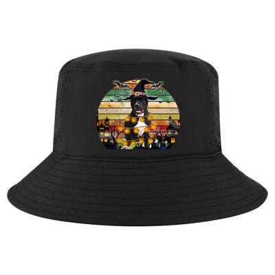 Pitbull Pumpkin Light Vintage Halloween Witch Dog Lover Funny Gift Cool Comfort Performance Bucket Hat