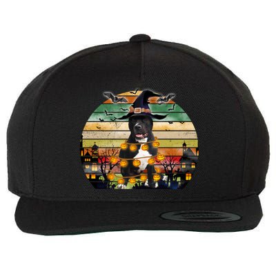 Pitbull Pumpkin Light Vintage Halloween Witch Dog Lover Funny Gift Wool Snapback Cap