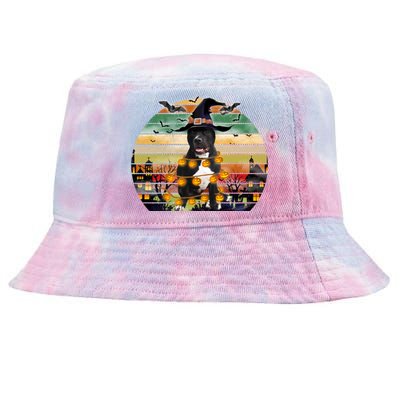 Pitbull Pumpkin Light Vintage Halloween Witch Dog Lover Funny Gift Tie-Dyed Bucket Hat