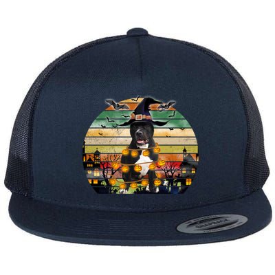 Pitbull Pumpkin Light Vintage Halloween Witch Dog Lover Funny Gift Flat Bill Trucker Hat