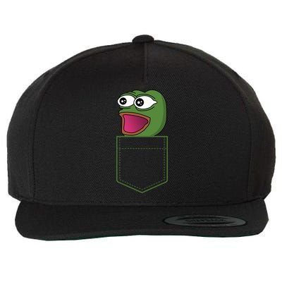 Poggers Pepe Meme Gaming Live Stream Poacket Wool Snapback Cap