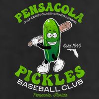 Pensacola Pickles Minor League Retro Baseball Team Adult Drive Performance Visor