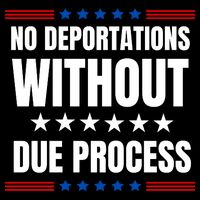 Political Protest No Deportations Without Due Process  T-Shirt