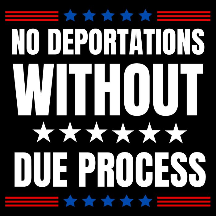 Political Protest No Deportations Without Due Process  T-Shirt