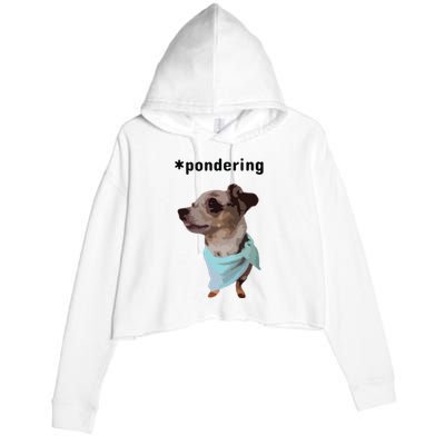 Pondering Crop Fleece Hoodie