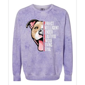 Pitbull Proud Pitbull Owners Colorblast Crewneck Sweatshirt