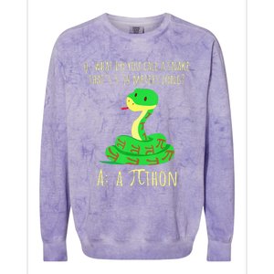 Python Pithon Pi Symbol Math Teacher Funny Pi Day Colorblast Crewneck Sweatshirt