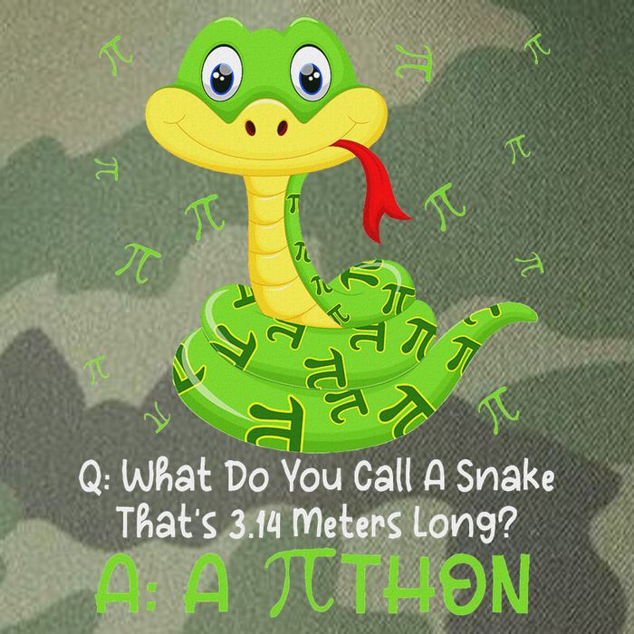 Python Pithon Pi Symbol Funny Math Teacher Pi Day Legacy Tie Dye Trucker Hat