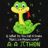 Python Pithon Pi Symbol Funny Math Teacher Pi Day Ladies PosiCharge Tri-Blend Wicking Tank