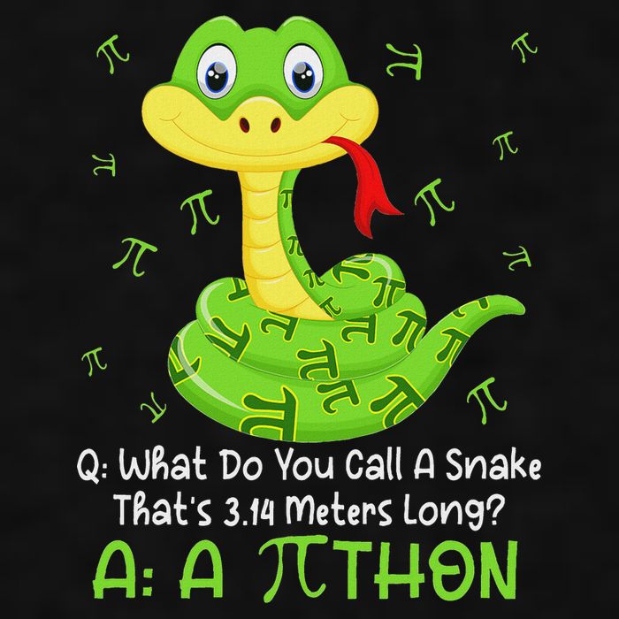 Python Pithon Pi Symbol Funny Math Teacher Pi Day Ladies PosiCharge Tri-Blend Wicking Tank