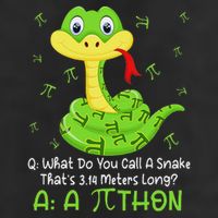 Python Pithon Pi Symbol Funny Math Teacher Pi Day Cool Comfort Performance Bucket Hat