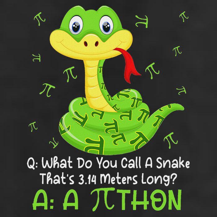 Python Pithon Pi Symbol Funny Math Teacher Pi Day Cool Comfort Performance Bucket Hat