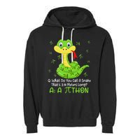 Python Pithon Pi Symbol Funny Math Teacher Pi Day Garment-Dyed Fleece Hoodie