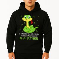 Python Pithon Pi Symbol Funny Math Teacher Pi Day Hoodie