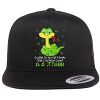 Python Pithon Pi Symbol Funny Math Teacher Pi Day Flat Bill Trucker Hat