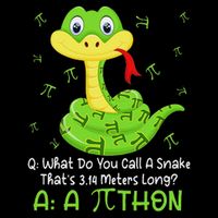 Python Pithon Pi Symbol Funny Math Teacher Pi Day Flat Bill Trucker Hat