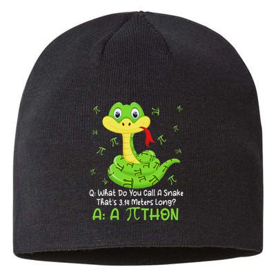 Python Pithon Pi Symbol Funny Math Teacher Pi Day Sustainable Beanie