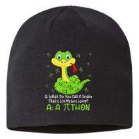Python Pithon Pi Symbol Funny Math Teacher Pi Day Sustainable Beanie