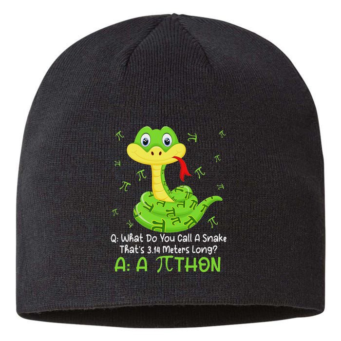 Python Pithon Pi Symbol Funny Math Teacher Pi Day Sustainable Beanie