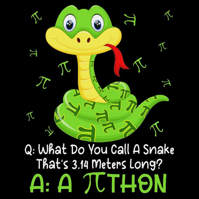 Python Pithon Pi Symbol Funny Math Teacher Pi Day 16 in Basic Backpack