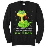 Python Pithon Pi Symbol Funny Math Teacher Pi Day Tall Sweatshirt
