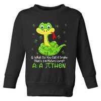 Python Pithon Pi Symbol Funny Math Teacher Pi Day Toddler Sweatshirt