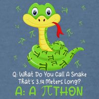 Python Pithon Pi Symbol Funny Math Teacher Pi Day Garment-Dyed Sweatshirt