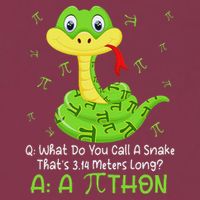 Python Pithon Pi Symbol Funny Math Teacher Pi Day 16oz Travel Tumbler