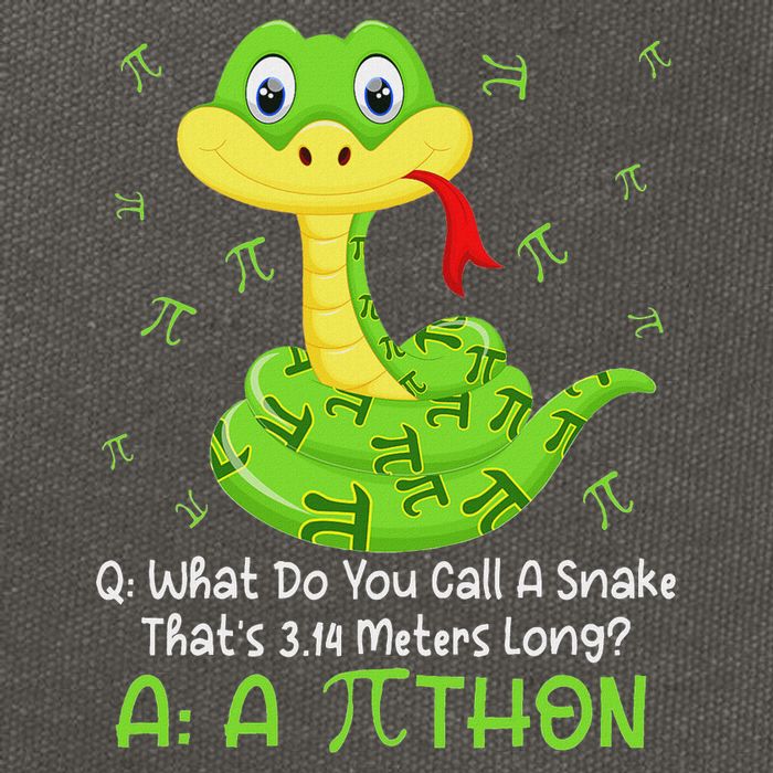 Python Pithon Pi Symbol Funny Math Teacher Pi Day Cotton Canvas Backpack