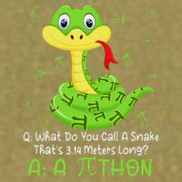 Python Pithon Pi Symbol Funny Math Teacher Pi Day Garment-Dyed Women's Muscle Tee
