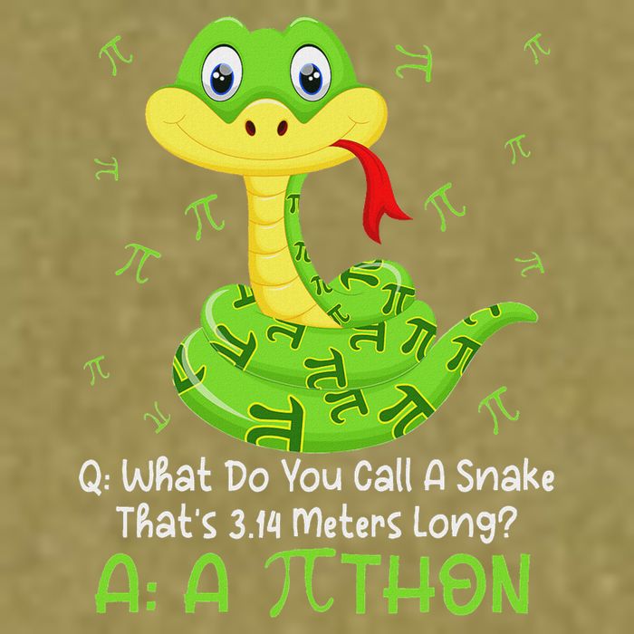 Python Pithon Pi Symbol Funny Math Teacher Pi Day Garment-Dyed Women's Muscle Tee