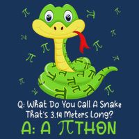 Python Pithon Pi Symbol Funny Math Teacher Pi Day Infant Baby Jersey Bodysuit
