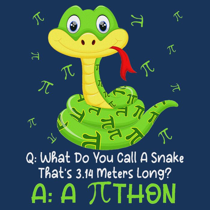 Python Pithon Pi Symbol Funny Math Teacher Pi Day Infant Baby Jersey Bodysuit