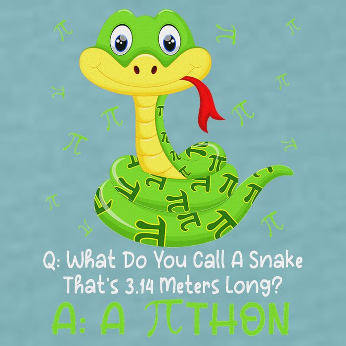 Python Pithon Pi Symbol Funny Math Teacher Pi Day Sueded Cloud Jersey T-Shirt