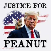 Peanut P’Nut Pnut Justice For Peanut The Squirrel 2024 Button