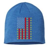 Patriotic Pickleball Player Us Flag Pickleball 4th Of July Gift Sustainable Beanie