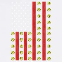 Patriotic Pickleball Player Us Flag Pickleball 4th Of July Gift Garment-Dyed Sweatshirt