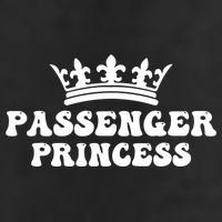 Passenger Princess Adult Drive Performance Visor