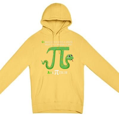 Python Pithon Pi Symbol Funny Math Teacher Pi Day Gift Premium Pullover Hoodie