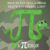 Python Pithon Pi Symbol Funny Math Teacher Pi Day Gift Legacy Tie Dye Trucker Hat