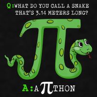 Python Pithon Pi Symbol Funny Math Teacher Pi Day Gift Ladies PosiCharge Tri-Blend Wicking Tank